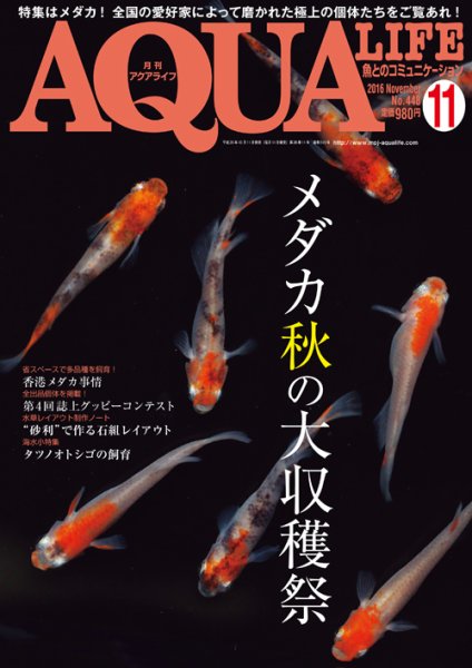 アクアライフ 11月号 (発売日2016年10月11日) 表紙