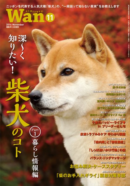 wan（わん） 2016年11月号 (発売日2016年10月14日) 表紙