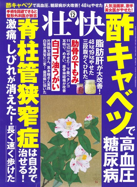 壮快 2016年12月号 (発売日2016年10月15日) 表紙