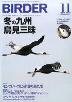 BIRDER（バーダー） 2016年11月号 表紙