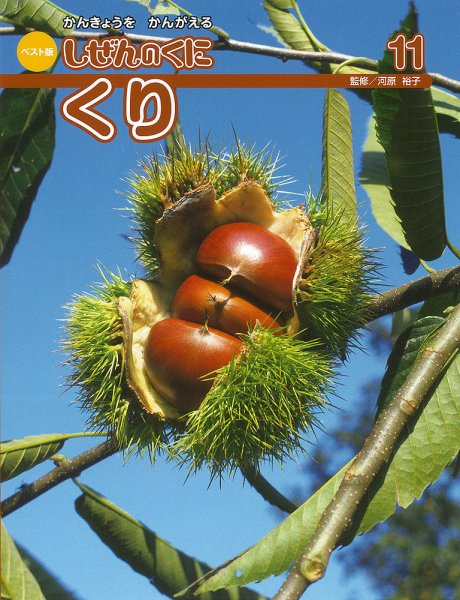 しぜんのくに 11月号 (発売日2016年10月20日) 表紙