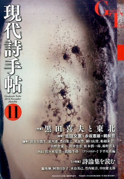 現代詩手帖 2016年11月号 (発売日2016年10月28日) 表紙