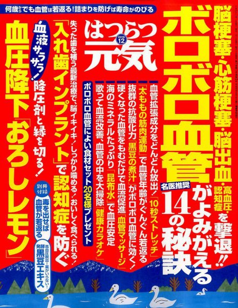はつらつ元気 2016年12月号 (発売日2016年11月02日) 表紙