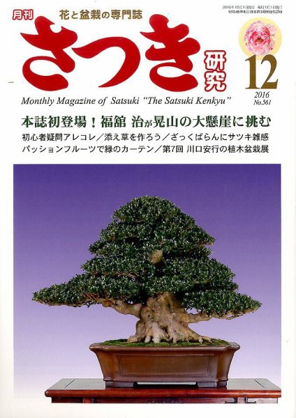 さつき研究 2016年12月号 (発売日2016年11月05日) 表紙