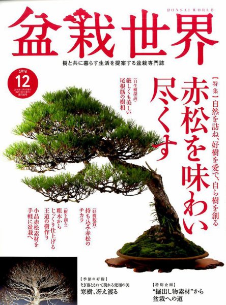 盆栽世界 2016年12月号 (発売日2016年11月04日) 表紙