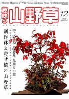 趣味の山野草 2017年01月号 趣味の山野草のバックナンバー (