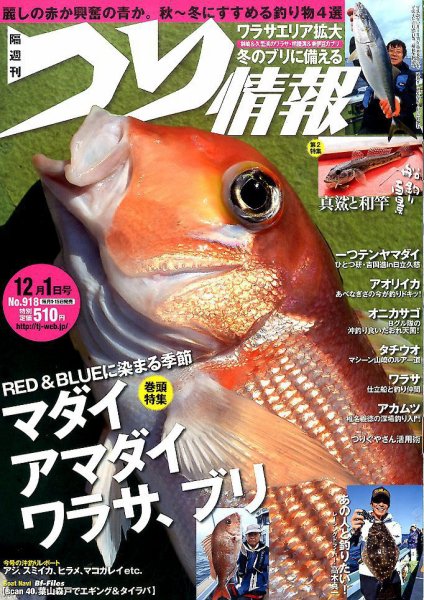 つり情報 2016年12/1号 (発売日2016年11月15日) 表紙