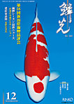 鱗光 の表紙