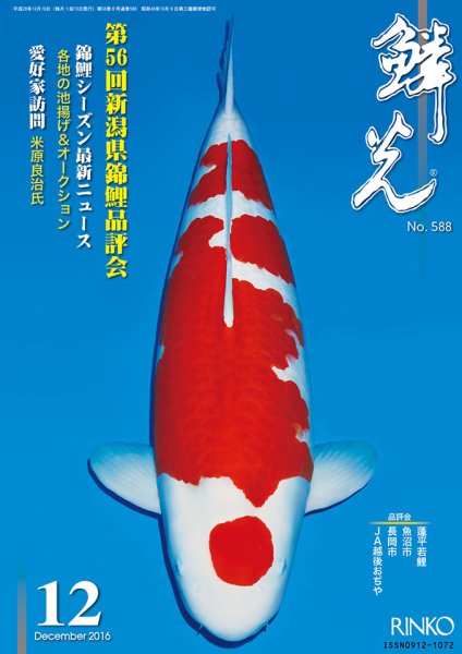 鱗光 2016年11月15日発売号 表紙