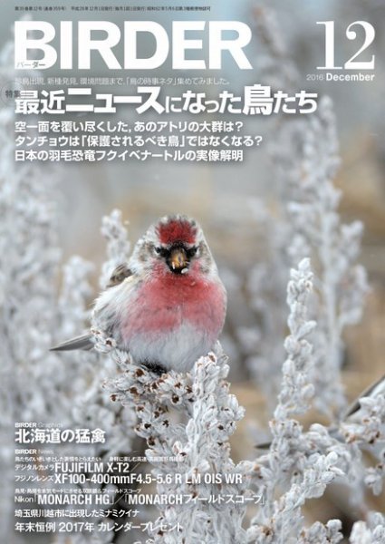 BIRDER（バーダー） 2016年12月号 (発売日2016年11月16日) 表紙