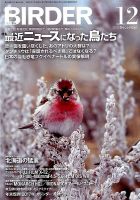 BIRDER（バーダー） 2016年12月号 表紙