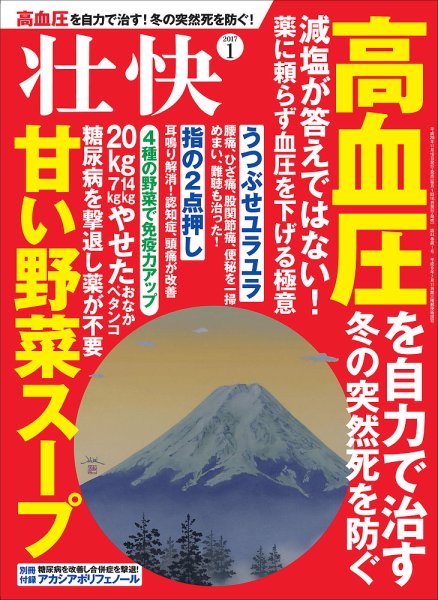 壮快 2017年1月号 (発売日2016年11月16日) 表紙