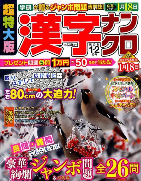 超特大版漢字ナンクロ 2017年1月号 (発売日2016年11月19日) 表紙