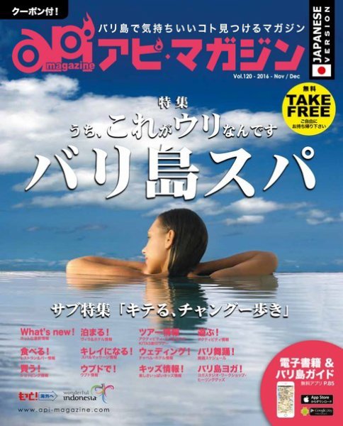 Api Magazine（アピ・マガジン） vol.120 (発売日2016年11月20日) 表紙
