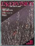 INNERVISION（インナービジョン） 11月号 (発売日1996年11月01日) 表紙