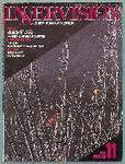 INNERVISION（インナービジョン） 11月号 (発売日1996年11月01日) 表紙