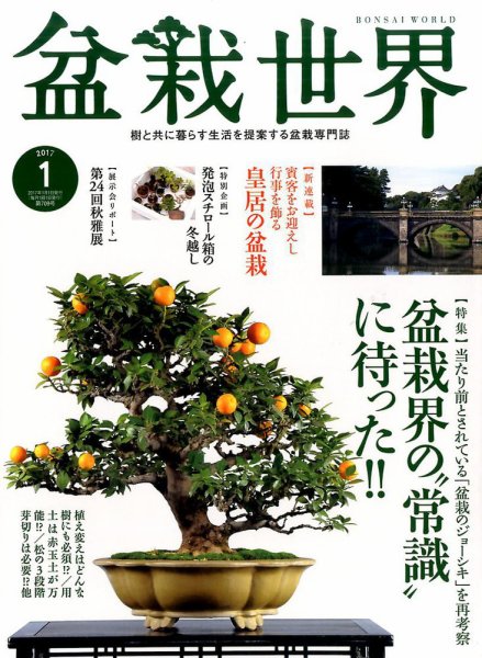 盆栽世界 2017年1月号 (発売日2016年12月03日) 表紙