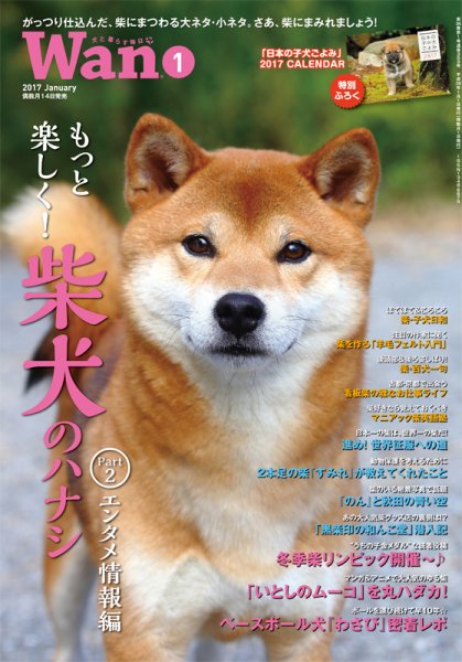 wan（わん） 2017年1月号 (発売日2016年12月14日) 表紙