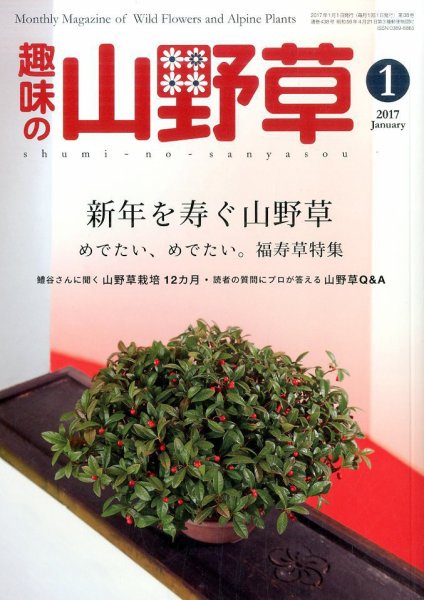 趣味の山野草 2017年1月号 (発売日2016年12月12日) 表紙