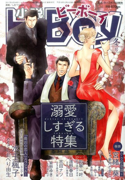 小説b-boy (ビーボーイ) 2017年1月号 (発売日2016年12月14日) 表紙