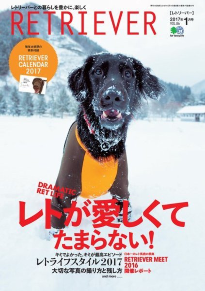 RETRIEVER（レトリーバー） 2017年1月号 (発売日2016年12月14日) 表紙