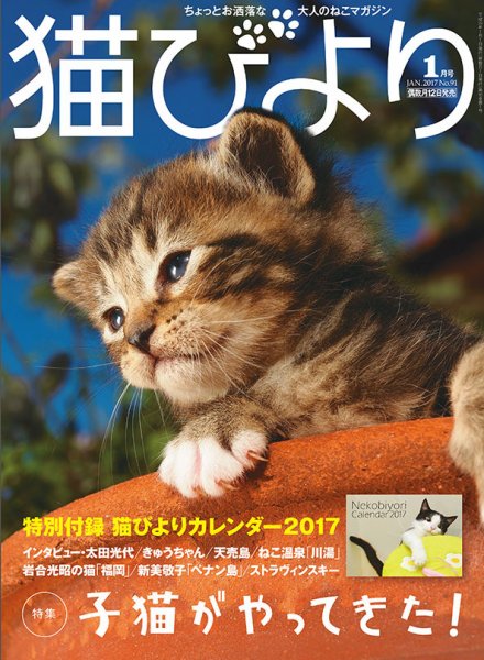 猫びより 91号 (発売日2016年12月12日) 表紙