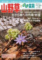 山野草とミニ盆栽 2017年1月号 (発売日2016年12月12日) 表紙