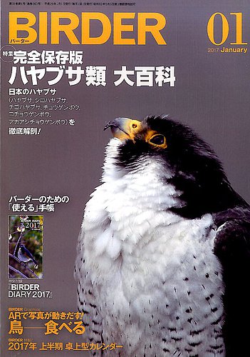 ワシ・タカなど猛禽類特集号 7冊「BIRDER（バーダー）2010~2017年」-