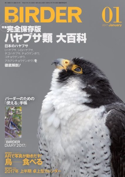 BIRDER（バーダー） 2017年1月号 (発売日2016年12月16日) 表紙