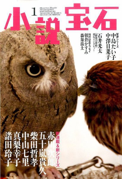 小説宝石 2017年1月号 (発売日2016年12月22日) 表紙