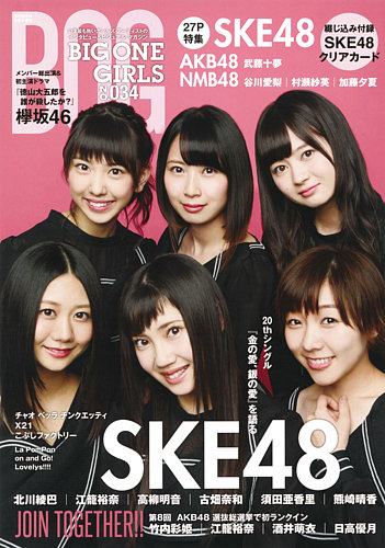 AKB48 SKE48 NMB48 雑誌 まとめ売り 21冊 AKB48 SKE48 NMB48 雑誌 まとめ売り 21冊
