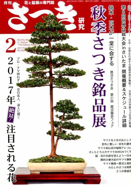 さつき研究 2017年2月号 (発売日2016年12月28日) 表紙