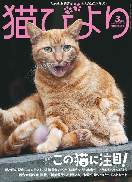 猫びより 92号 (発売日2017年02月10日) 表紙