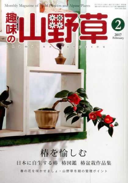 趣味の山野草 2017年2月号 (発売日2017年01月12日) 表紙