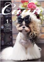 Cuun（クーン） 2017年1月号 (発売日2017年01月10日) 表紙