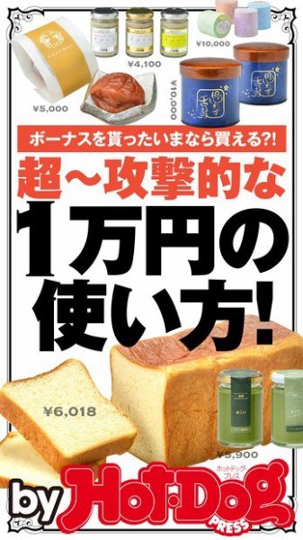Hot-Dog PRESS Selection（ホットドッグプレスセレクション） 超～攻撃的な１万円の使い方！ ボーナス貰ったいまなら買える？！ (発売日2016年07月22日) 表紙