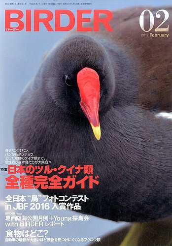 Birder バーダー 17年2月号 発売日17年01月16日 雑誌 電子書籍 定期購読の予約はfujisan Birder バーダー 17年2月号 発売日17年01月16日 雑誌 電子書籍 定期購読の予約はfujisan