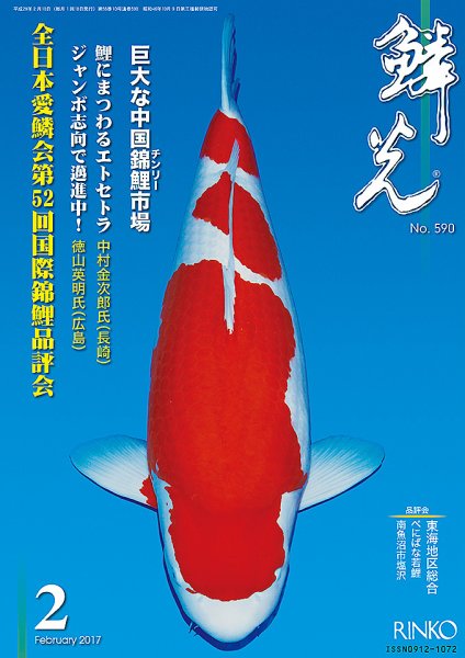 鱗光 2017年01月18日発売号 表紙