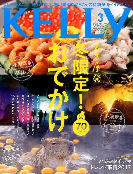 KELLY (ケリー) 2017年3月号 (発売日2017年01月23日) 表紙