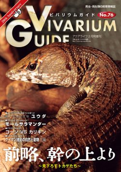 ビバリウムガイド 76号 (発売日2017年01月26日) | 雑誌/定期購読
