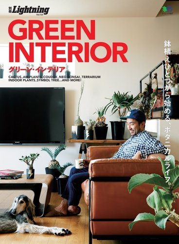 送料込み 貴重 ライトニング lightning グリーンライフ 送料込み 貴重