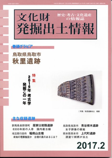 文化財発掘出土情報 2月号 (発売日2017年02月01日) 表紙