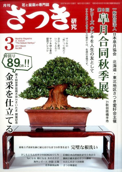 さつき研究 2017年3月号 (発売日2017年02月03日) 表紙