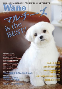 Wan わん 17年3月号 発売日17年02月14日 雑誌 電子書籍 定期購読の予約はfujisan