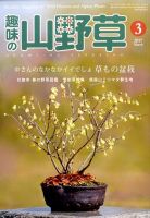 趣味の山野草 2017年01月号 隔月刊「山野草とミニ盆栽」18年初夏号 | 盆栽、盆栽書籍、盆栽