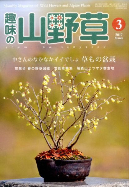 趣味の山野草 2017年3月号 (発売日2017年02月10日) 表紙