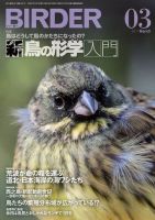 BIRDER（バーダー） 2017年3月号 (発売日2017年02月16日) 表紙