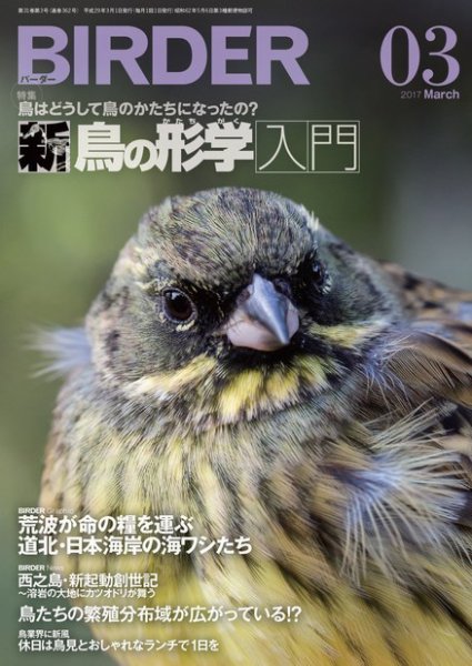 BIRDER（バーダー） 2017年3月号 (発売日2017年02月16日) 表紙