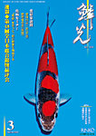 鱗光の表紙