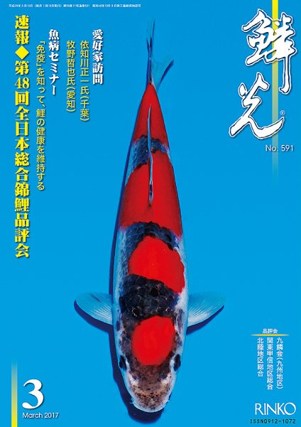 鱗光 2017年02月15日発売号 表紙
